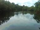 img00014-20100523-1623.jpg
